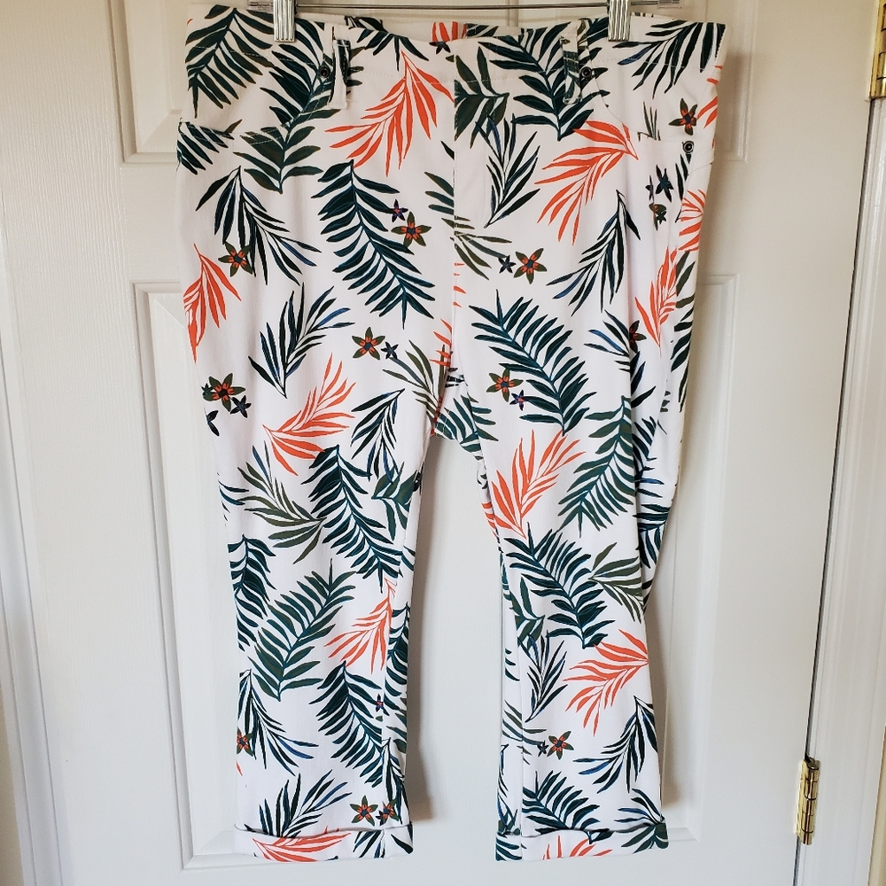 Terra & Sky 1X 16W-18W Pull On Capri Pants